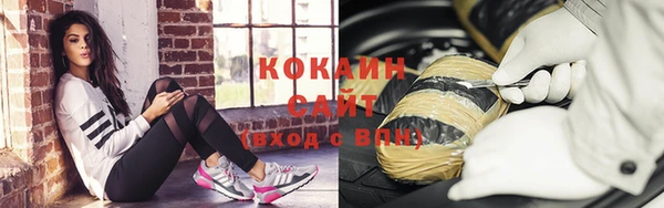 индика Баксан