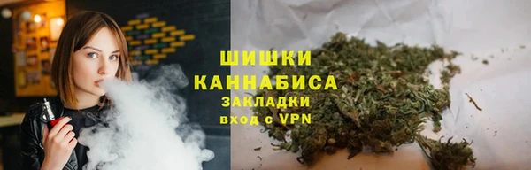 индика Баксан
