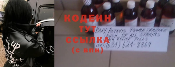 индика Баксан