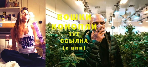 шишки Армянск